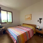 La Murighessa